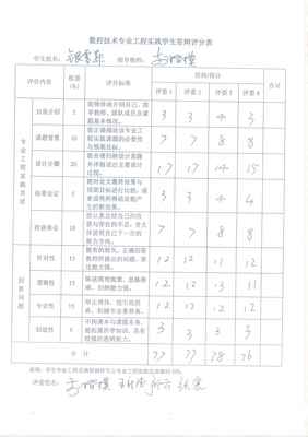 平台实力评分示意